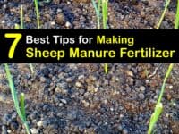 How to Make Sheep Manure titleimg1