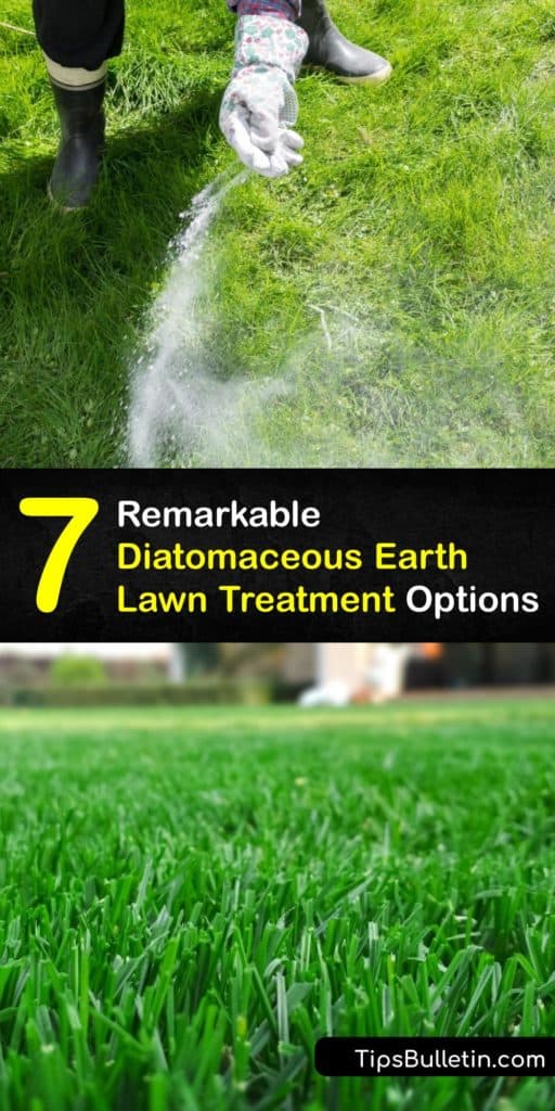 If you’ve wondered is diatomaceous earth safe to use on your lawn for an ant mound, ant colonies, or a flea issue, the answer is yes. Dry diatomaceous earth doesn’t harm beneficial insects while destroying fire ants, lawn grubs, bed bugs, and more. #diatomaceous #earth #lawn
