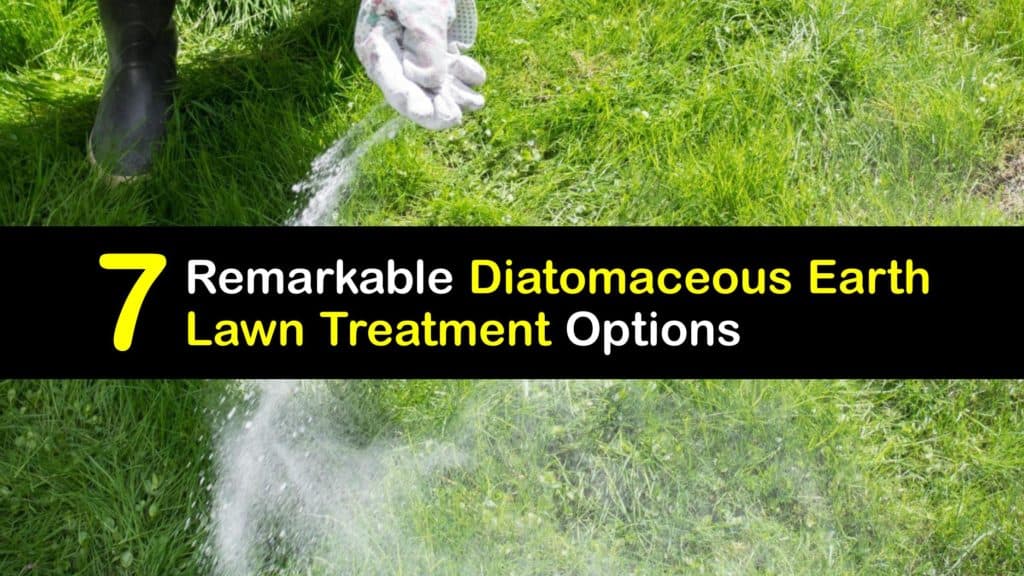 how-to-use-diatomaceous-earth-on-the-lawn titleimg1