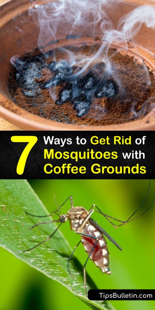 After being ground, coffee bean residue is a perfect mosquito repellent to repel mosquito pests. Fresh or burnt coffee grounds repel mosquitoes due to their pungent aroma. Add them to water, sprinkle them around, or burn them for mosquito control. #coffee #grounds #mosquitoes #getridof