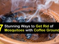 How to Use Coffee Grounds to Get Rid of Mosquitoes titleimg1