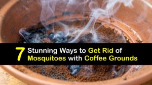 How to Use Coffee Grounds to Get Rid of Mosquitoes titleimg1