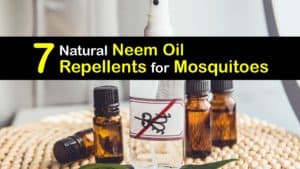 How to Use Neem Oil to Repel Mosquitoes titleimg1