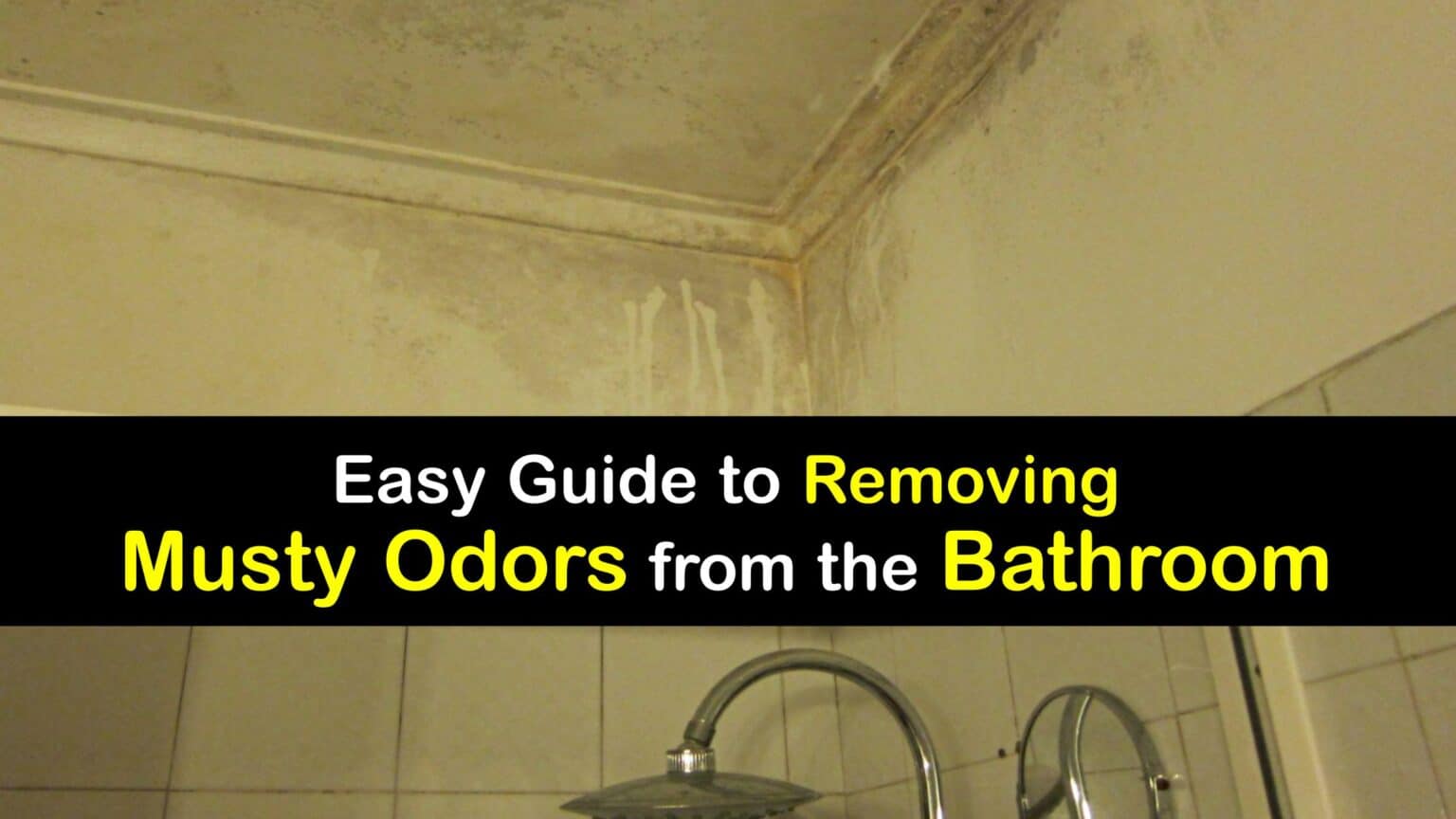 Musty Smells in the Bathroom Clever Ideas for Odor Removal