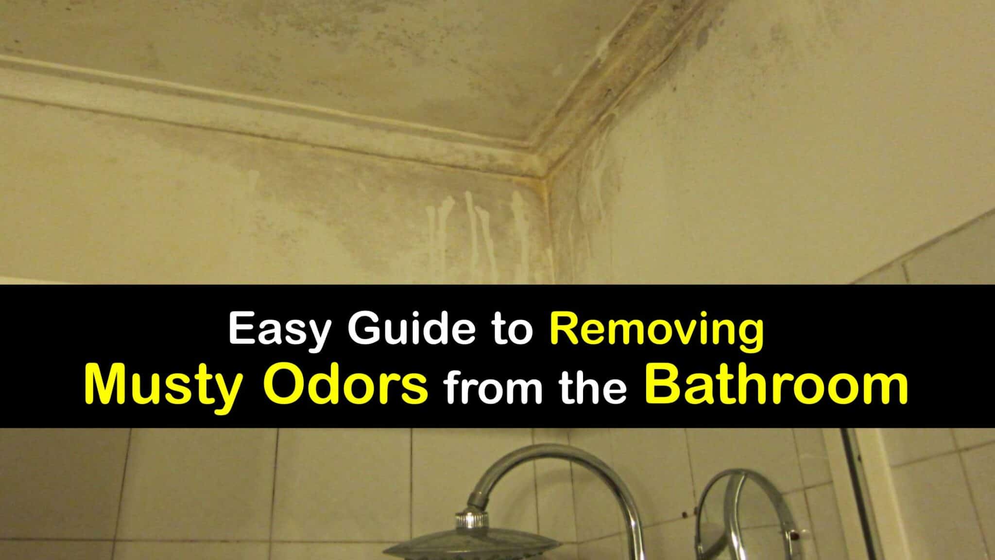Musty Smells in the Bathroom Clever Ideas for Odor Removal