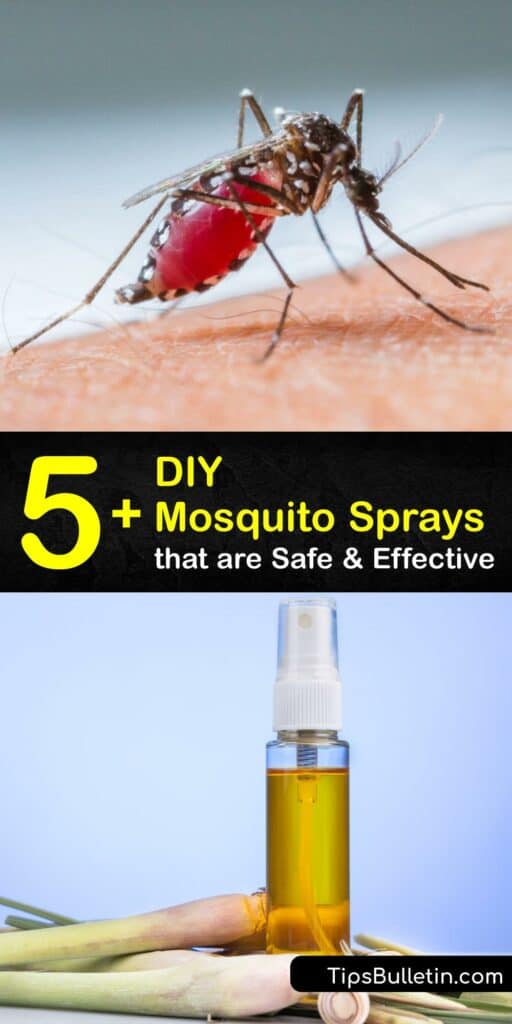 Discover how to create an effective homemade insect repellent bug spray to deter mosquitos. Combine ingredients like lemon eucalyptus oil, witch hazel, coconut oil, mouthwash, Epsom salts, and more, to make repellent that’s easy to apply with a spray bottle. #homemade #mosquito #deterrent #spray