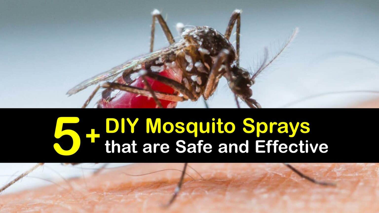 Homemade Mosquito Sprays Clever Ways to Deter Mosquitoes