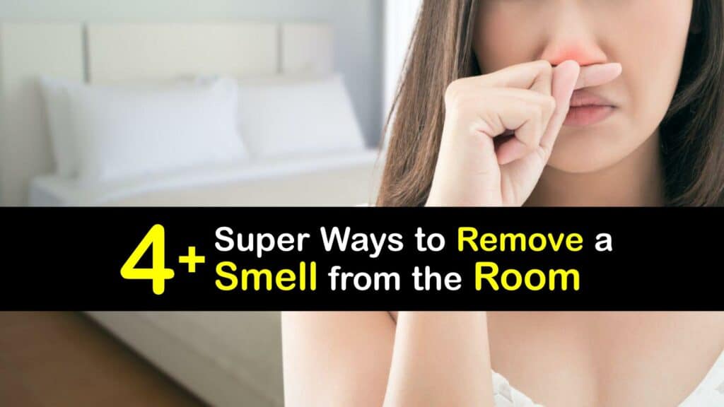 How to Get a Smell Out of a Room titleimg1