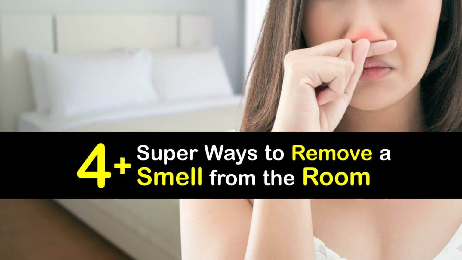Odor Removal Awesome Tips for Getting Rid of Smells in a Room