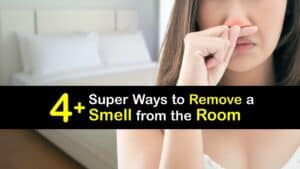 How to Get a Smell Out of a Room titleimg1