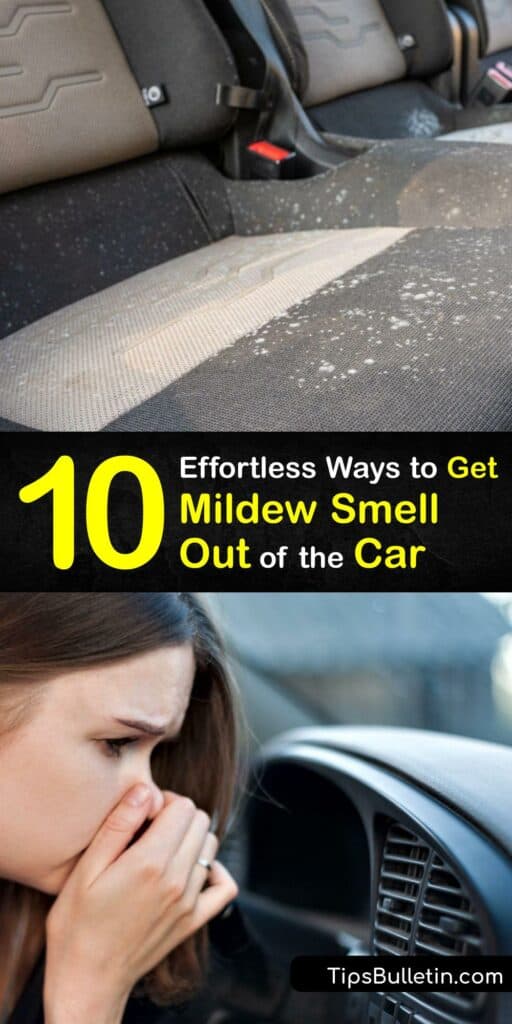 Explore car odor eliminator options for a bad smell coming from your car AC or interior. Clean mold from the seats and carpet with white vinegar, and remove your cabin air filter to clean the air conditioner to get rid of mildew odor for good. #remove #mildew #smell #car