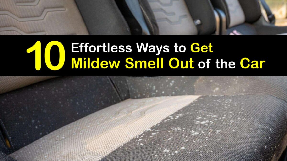 Get Rid of Mildew Smell Removing Mildew Odors from the Car