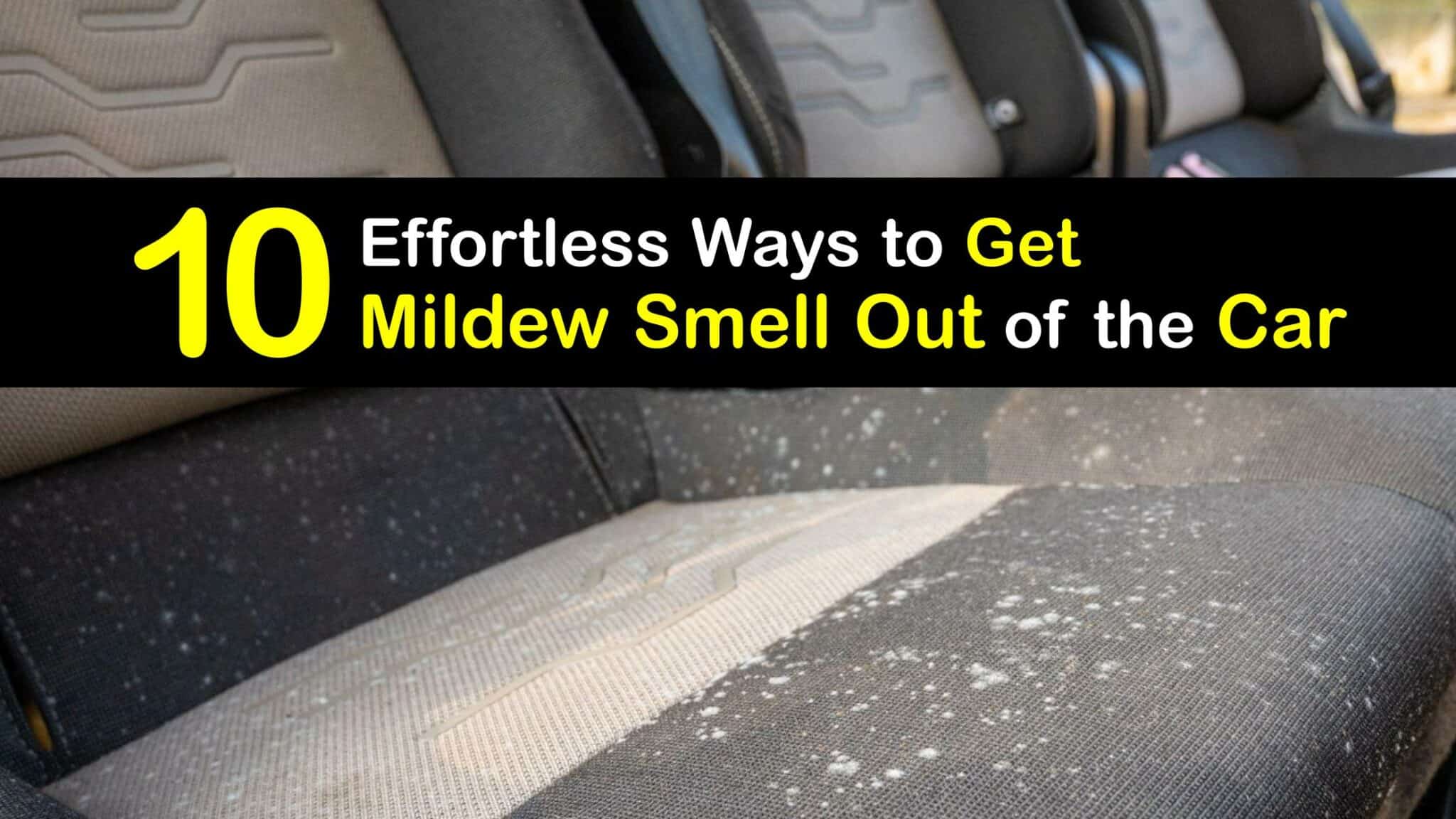 Get Rid of Mildew Smell - Removing Mildew Odors from the Car