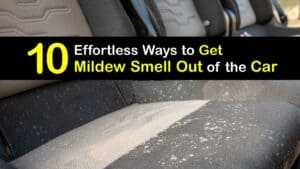 How to Get a Mildew Smell Out of the Car titleimg1