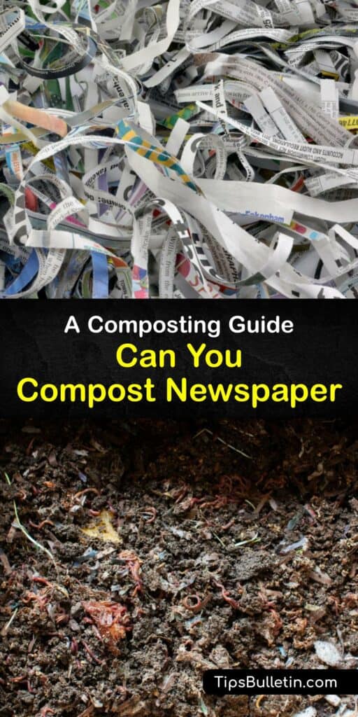 Learn how to compost newspapers to recycle paper, prevent waste, and create rich organic material for the garden. It’s safe to add shredded paper to the compost heap with food scraps and yard waste if the paper product is not glossy or colored. #compost #newspaper