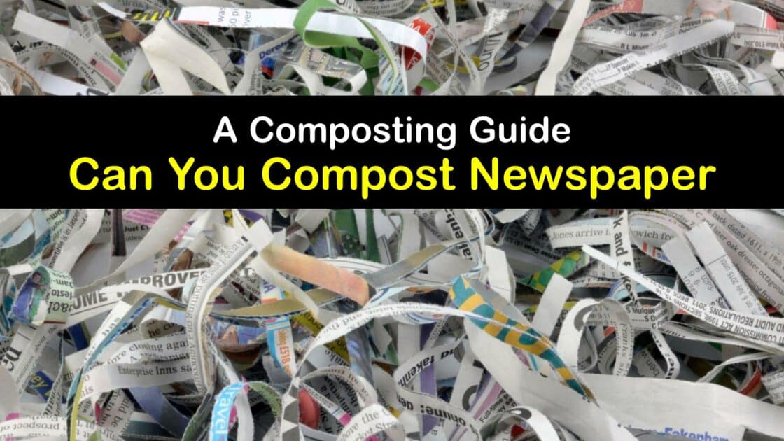 Composting Newspaper Adding Newspaper to the Compost Pile