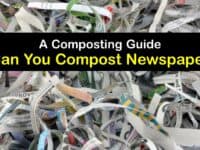 Can You Compost Newspaper titleimg1