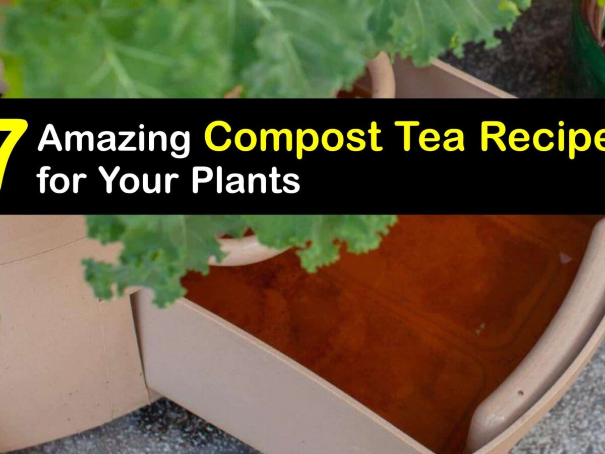 Suståne Compost Tea Bags Organic Fertilizer – Harris Seeds