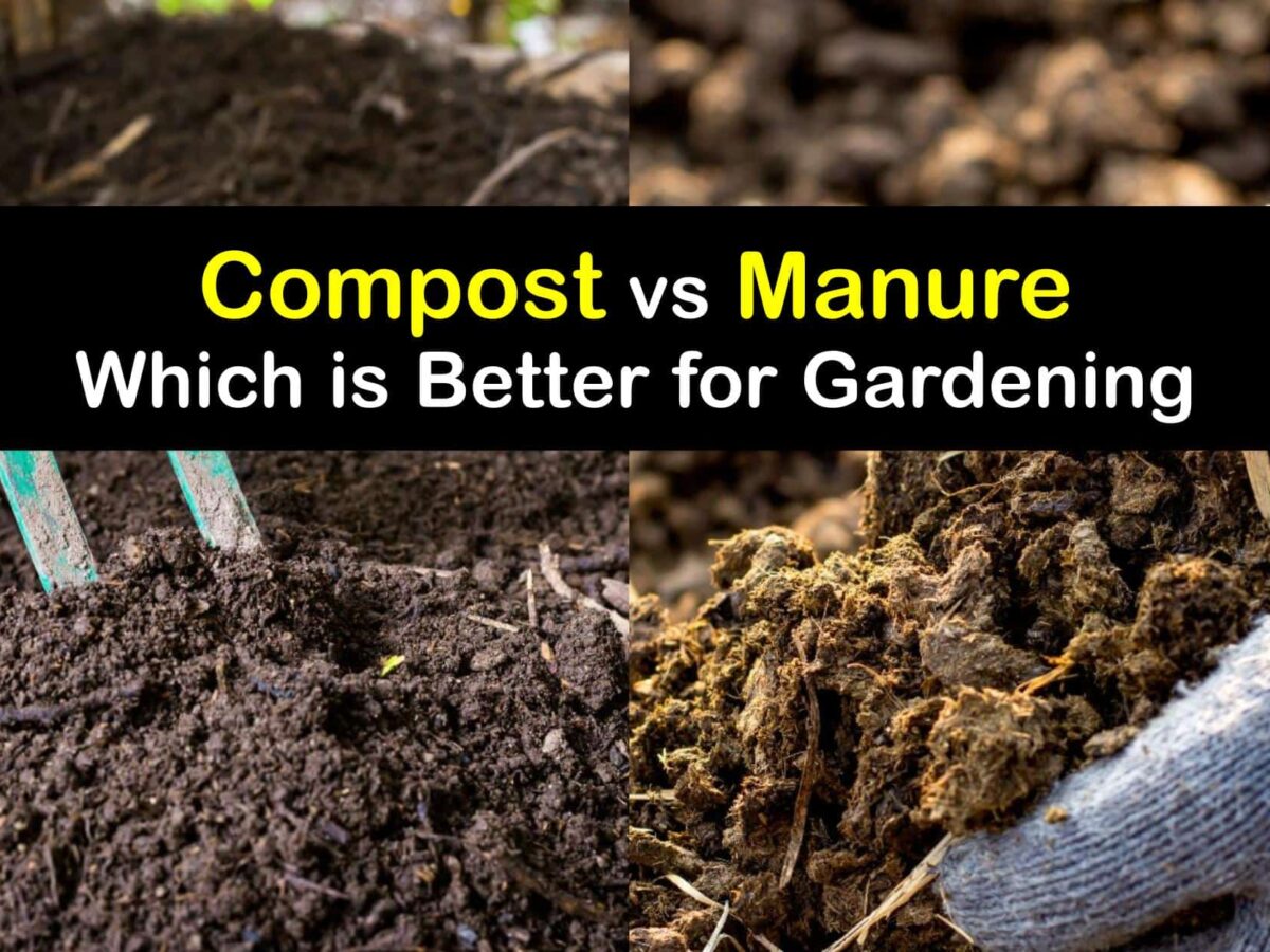 How Using Compost and Manure in the Garden Differs