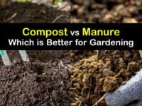 Compost vs Manure titleimg1