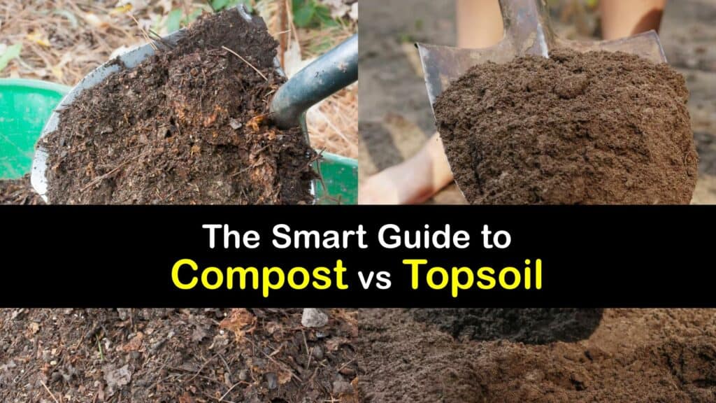 Compost vs Topsoil titleimg1