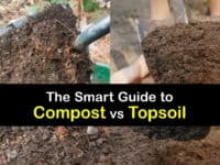 Compost vs Topsoil titleimg1