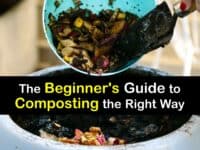 Composting for Beginners titleimg1