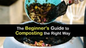 Composting for Beginners titleimg1