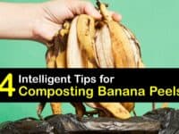 How to Compost Banana Peels titleimg1