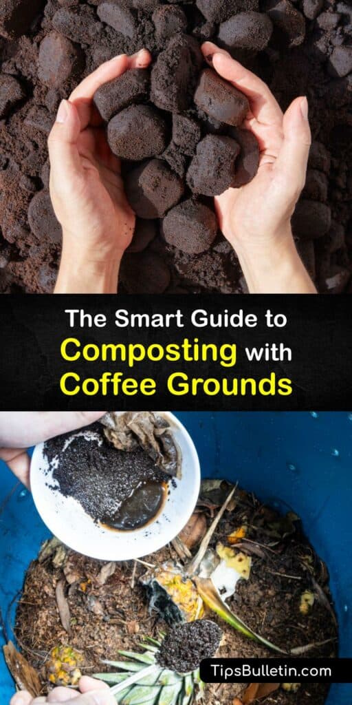 Spent coffee grounds can be included in the organic material for your compost pile after removing the coffee filter. Fresh coffee grounds make nutrient-dense compost to enrich your soil. Coffee ground compost is pH neutral, perfect for alkaline or acid loving plants. #compost #coffee #grounds