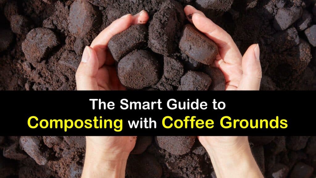 How to Compost Coffee Grounds titleimg1