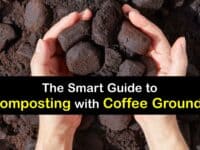 How to Compost Coffee Grounds titleimg1