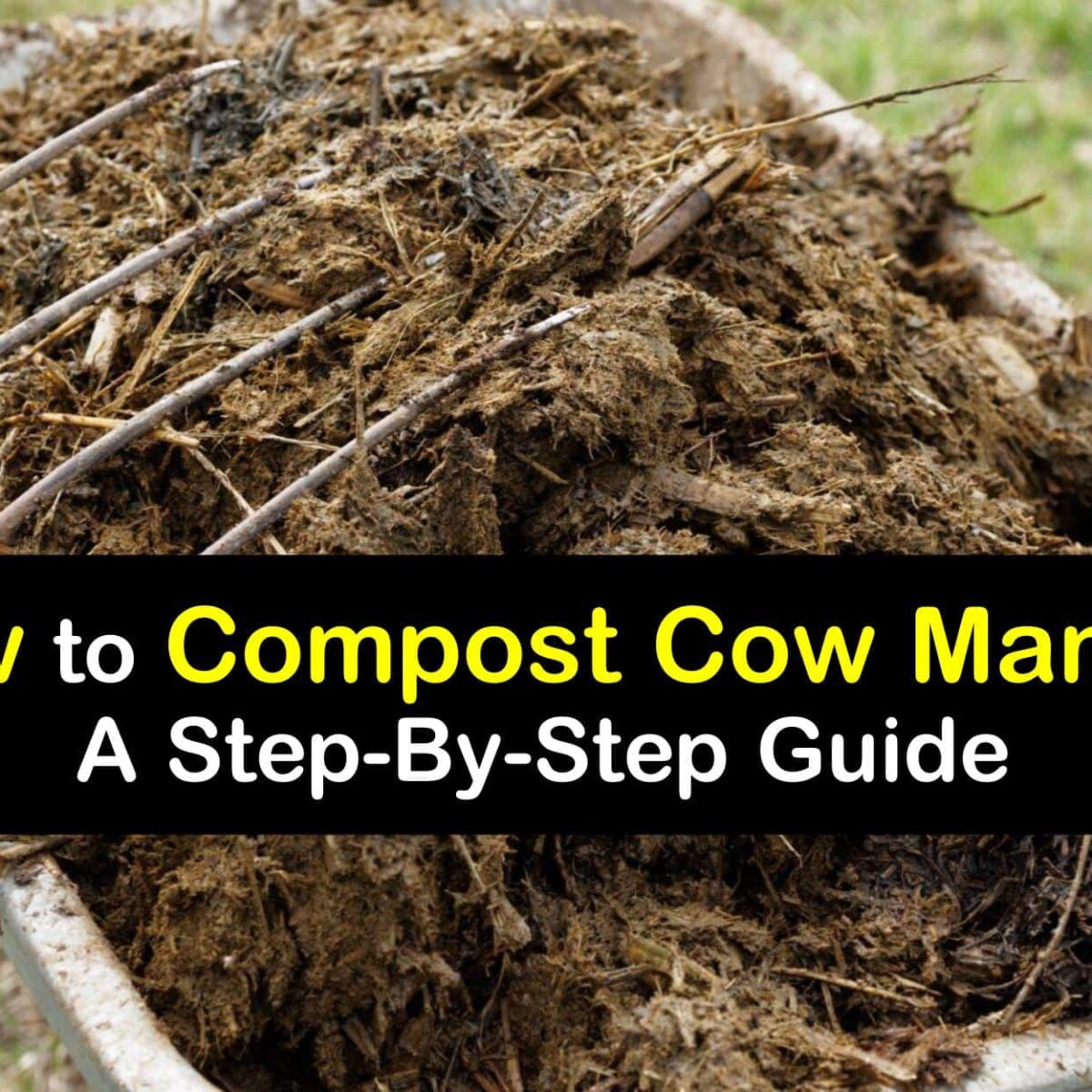 Vegetable Garden Steer Manure Fasci Garden