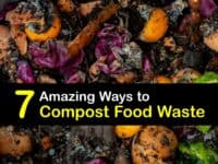 How to Compost Food Waste titleimg1