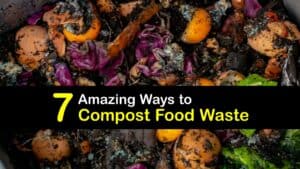 How to Compost Food Waste titleimg1