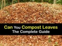 How to Compost Leaves titleimg1
