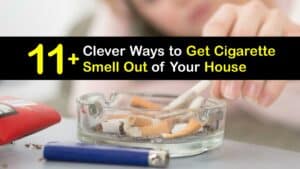 How to Get Cigarette Smell Out of the House titleimg1