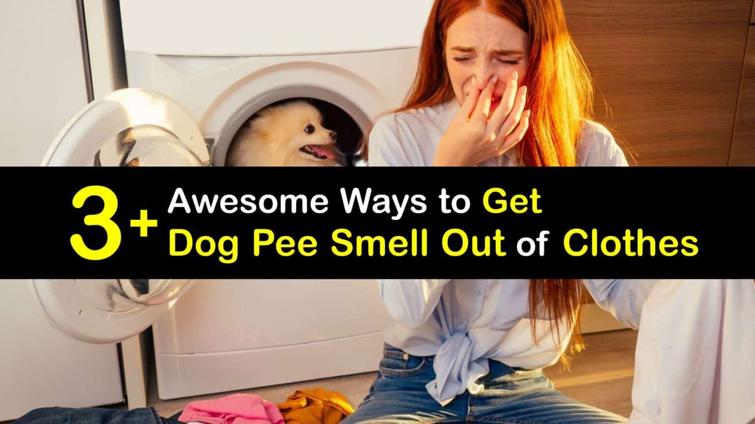 Removing Dog Pee Smells Getting Dog Urine Out of Clothes