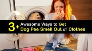 How to Get Dog Pee Smell Out of Clothes titleimg1