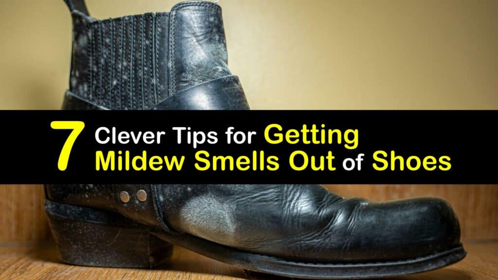 How to Get Mildew Smell Out of Shoes titleimg1
