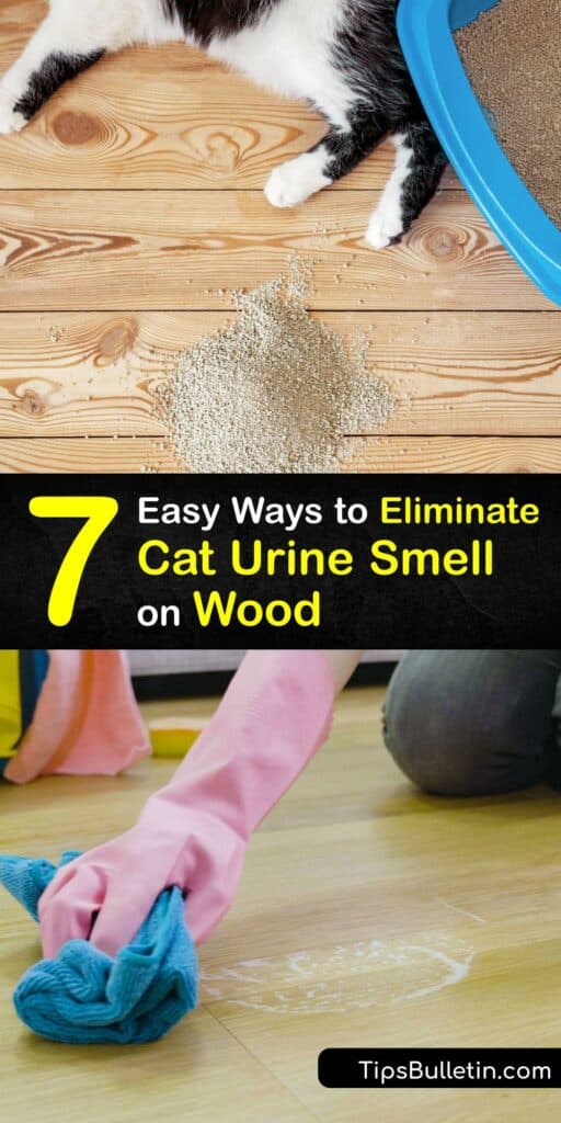 Unless pet urine stains are cleaned immediately, the stain seeps into the hardwood floor and the smell quickly fills your house. Learn how to eliminate cat pee odor using natural odor eliminators to get rid of cat urine odor in the home. #cat #pee #smell #wood #remove