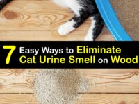 How to Get Rid of Cat Pee Smell on Wood titleimg1