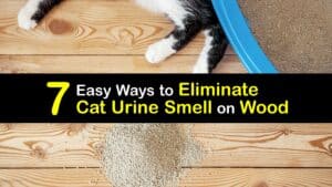 How to Get Rid of Cat Pee Smell on Wood titleimg1