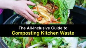 How to Make Compost from Kitchen Waste titleimg1