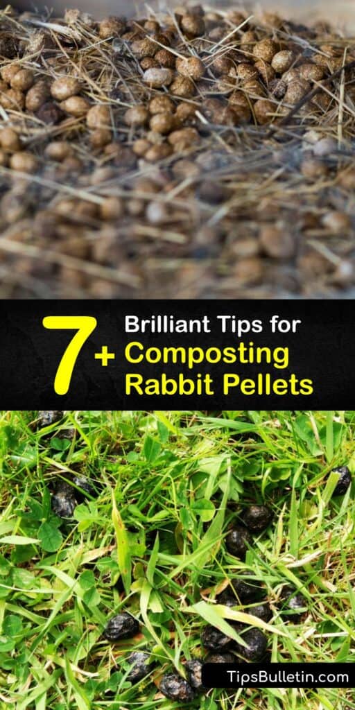 Gathering rabbit pellets is the first step to making rabbit dropping compost if you're looking to create a natural fertilizer for your vegetable garden. With less smell than horse manure, using rabbit poo is an effective way to improve your soil quality at home. #rabbit #manure #compost