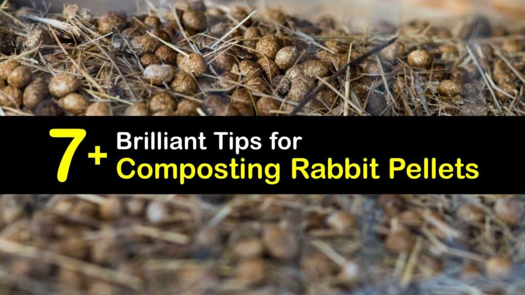 How to Make Rabbit Manure Compost titleimg1