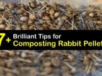 How to Make Rabbit Manure Compost titleimg1