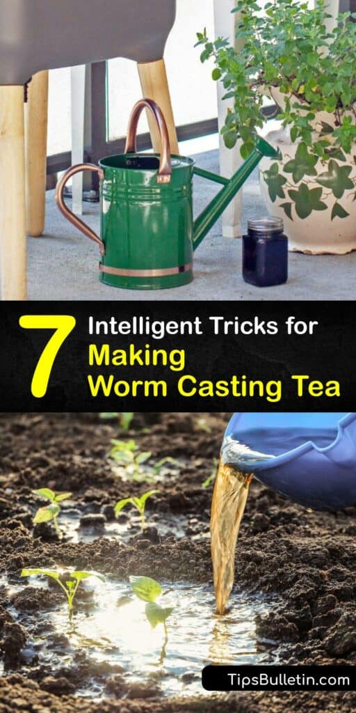 Vermisterra earthworm casting tea, also known as worm casting tea or worm compost tea, is made from a by-product of a worm bin or worm farm. Worm casting tea is easy to make and is a powerful liquid fertilizer for vegetable plants, flowers, lawns, and more. #homemade #worm #casting #tea