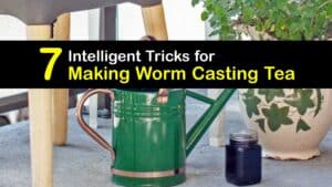How to Make Worm Casting Tea titleimg1