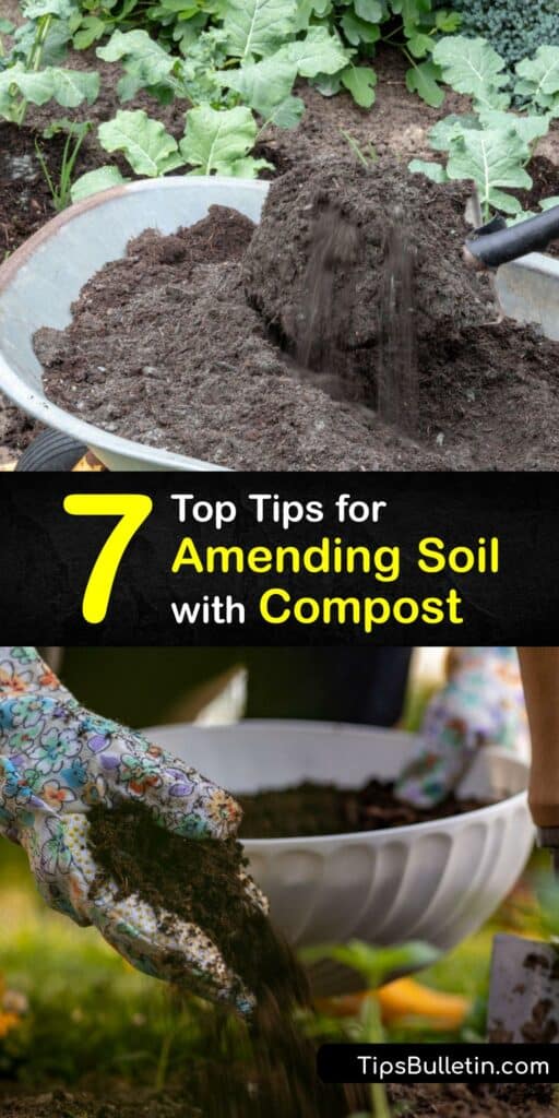 This article is for curious composters. Discover how adding compost to your garden soil and potting mix can improve soil health and encourage beneficial garden organisms that help your plants thrive. We’ve made compost easy in this how-to guide. #amend #soil #compost
